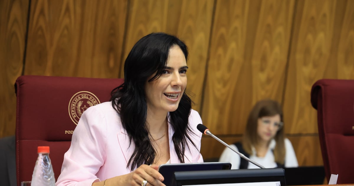 Presupuesto del MOPC crecerá 34 % en 2027 y priorizará la inversión pública