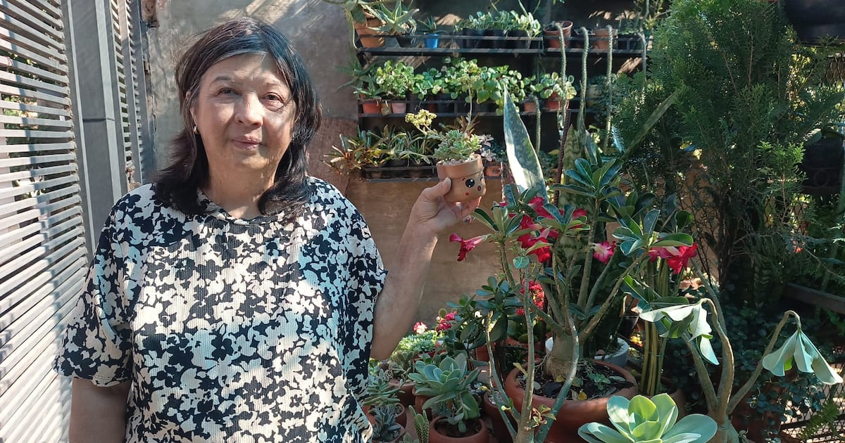 Emprendedora convirtió su pasión por las plantas en un negocio que florece en redes