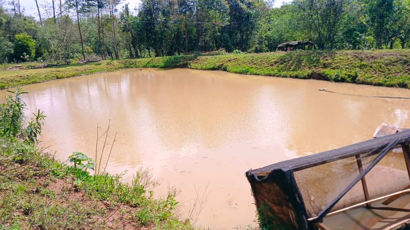 Niño de 2 años cae a un estanque de peces y muere ahogado en San Rafael del Paraná