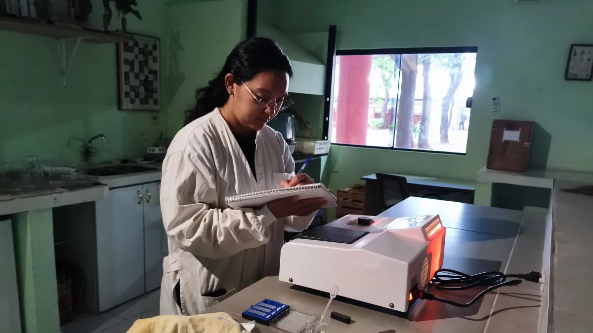 El 91% de la flora nativa aún carece de caracterización cromosómica y abre un amplio campo de investigación para los biólogos