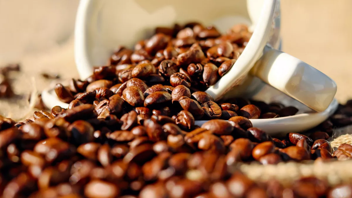 ¿Qué marcas de café pautaron más en agosto? Mayo lideró las emisiones y Nescafé la inversión