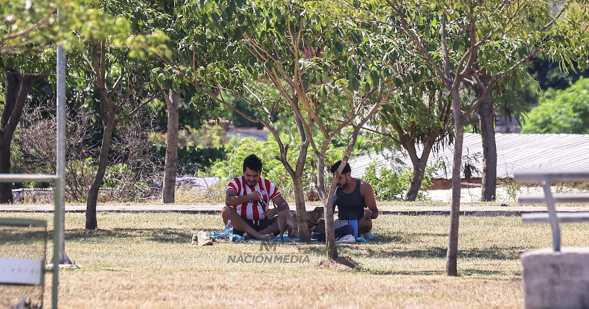 Calor sofocante para el fin de semana largo con máximas que llegarán a los 40 °C