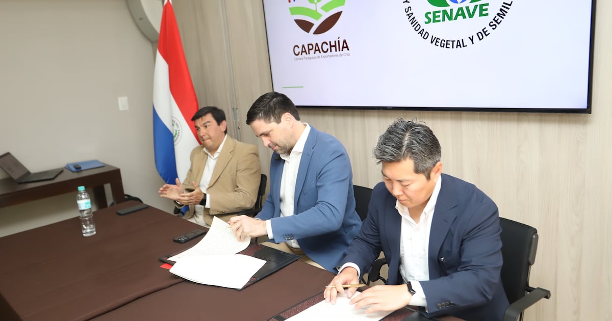 Gremio apunta a dar más impulso a las exportaciones de chía