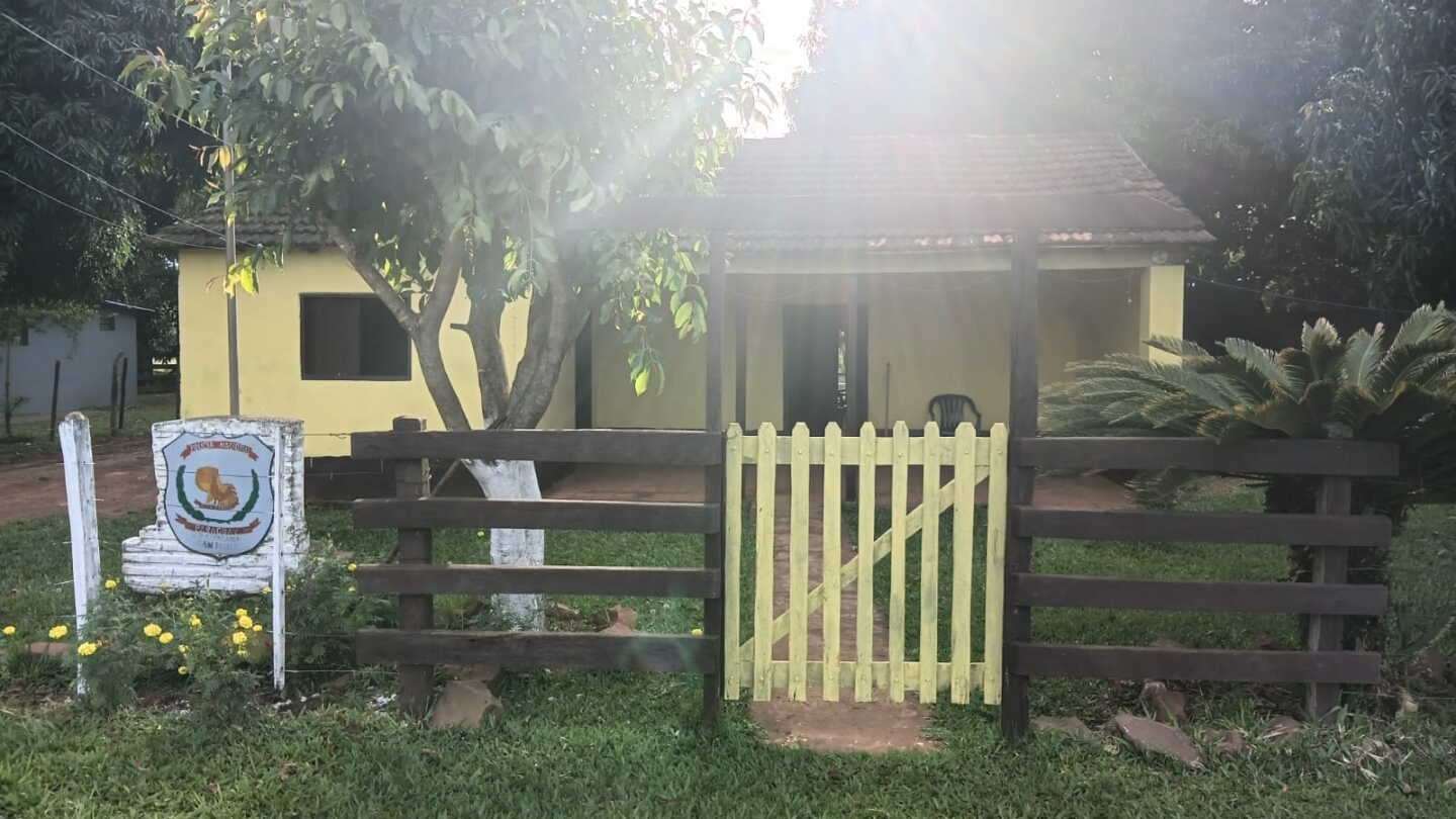 Terneros atacados en Misiones preocupan y se sospecha de puma o yaguareté
