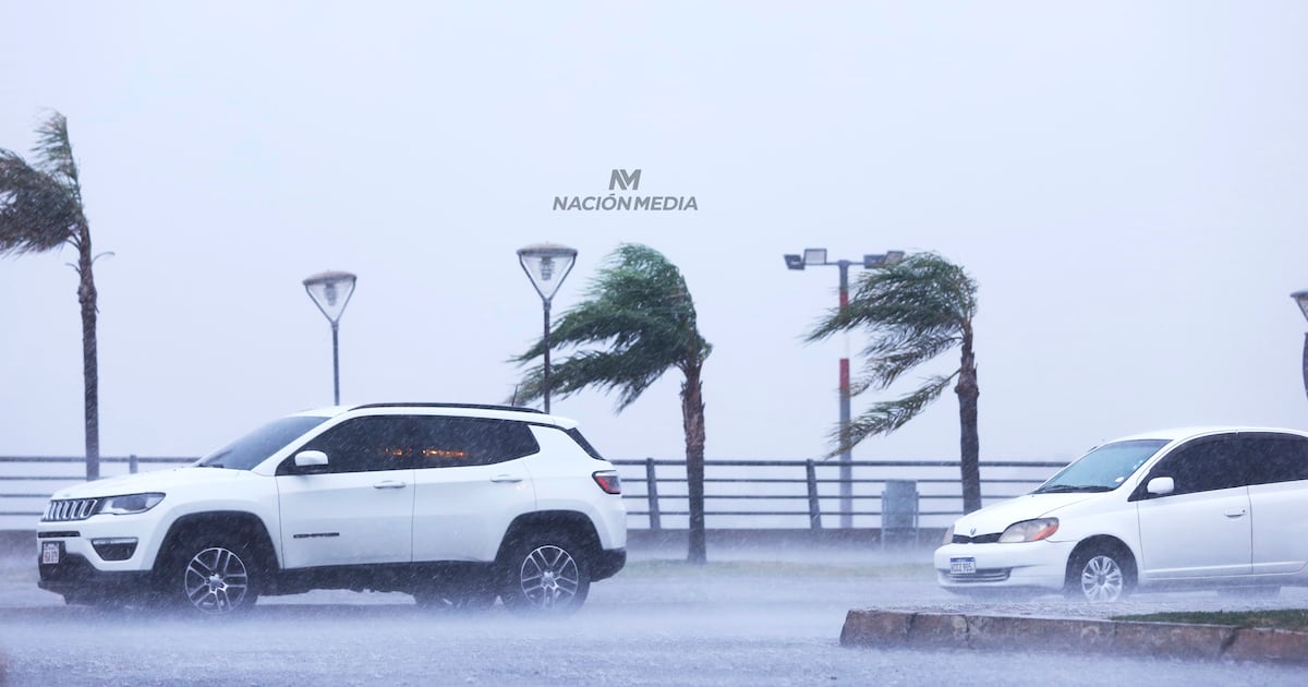 Sistema de tormentas con ráfagas de hasta 100 km/h afectará al país este sábado