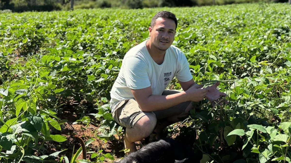 Soja, arroz y poroto: los cultivos que empujaron al agro con un salto de 11,1%