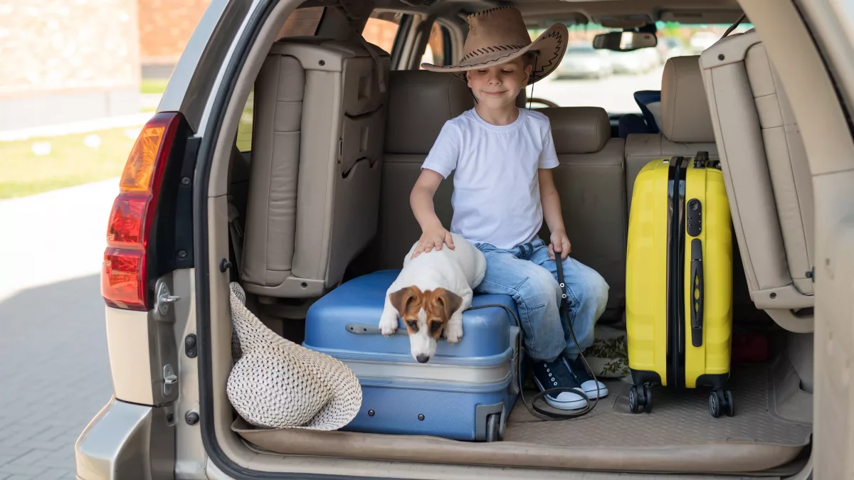 ¿Te vas de vacaciones con tu mascota? Así podés viajar de forma segura y reducir el estrés durante el trayecto