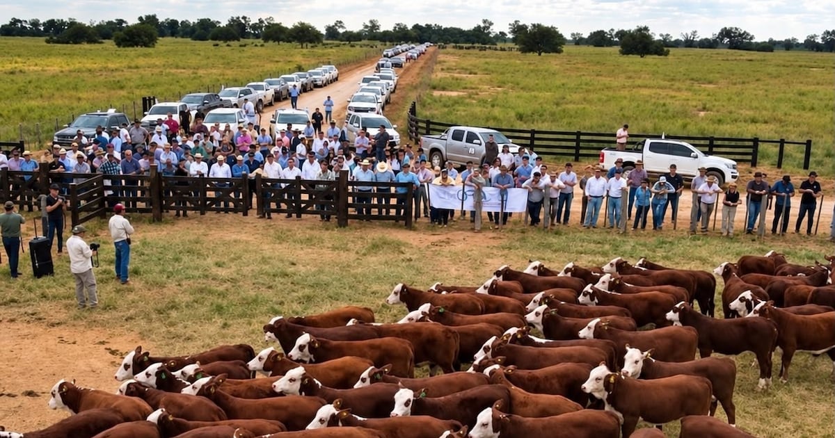 La élite de la ganadería se reunirá en Paraguay