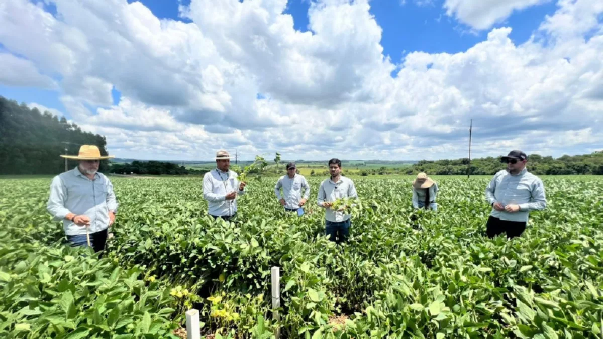 Élite de Rinde: Agrotec reúne a productores para compartir experiencias y evaluar el potencial de sus cultivos