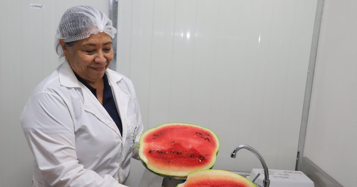 La sandía paraguaya llega a Uruguay