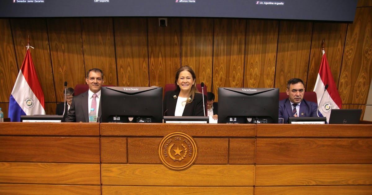 MAG presenta estrategia presupuestaria y medidas de apoyo a productores ante la Comisión Bicameral