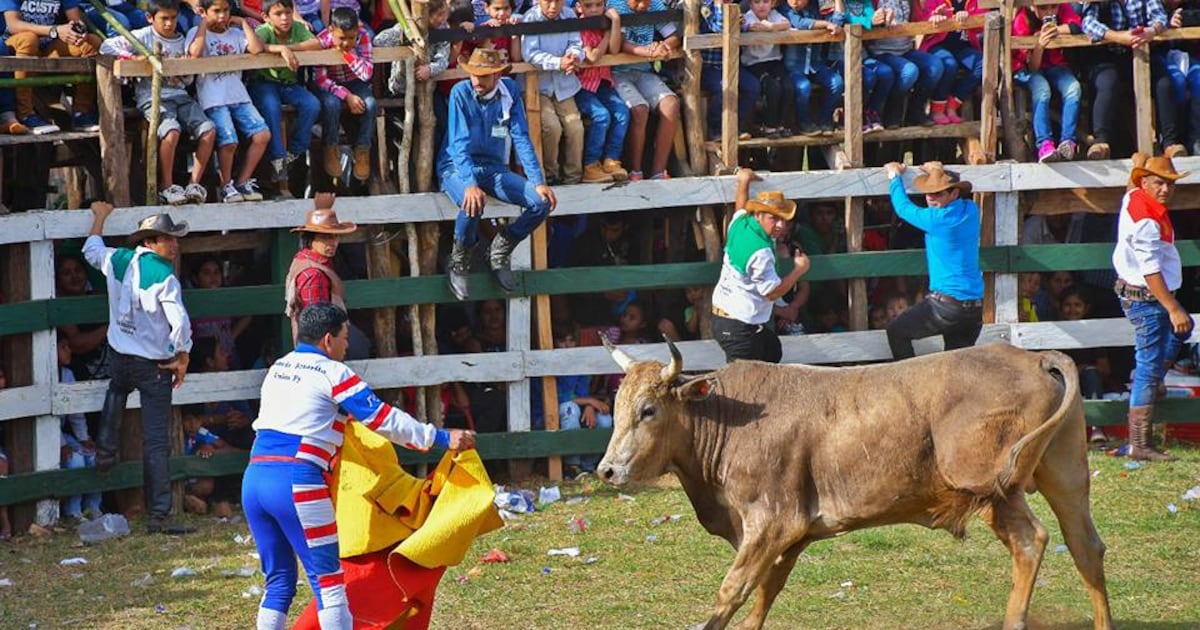 Cámara de Diputados sanciona declaración del torín como patrimonio tradicional y cultural del Paraguay