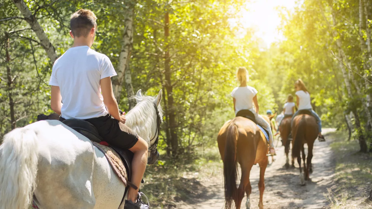 Cabalgando hacia el horizonte: cinco opciones para montar a caballo y conocer el país a otro ritmo