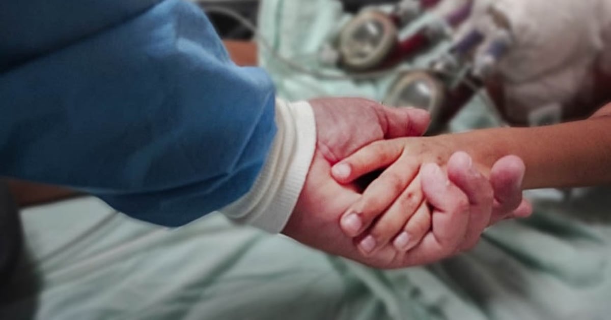 Donación de órganos: Paraguay registra 301 pacientes en espera, pero los trasplantes siguen lejos