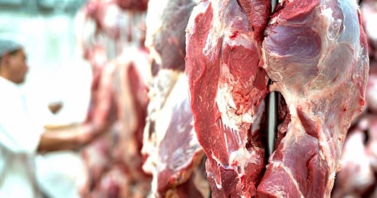Menor faena bovina podría incidir en el precio de la carne al consumidor, según Appec