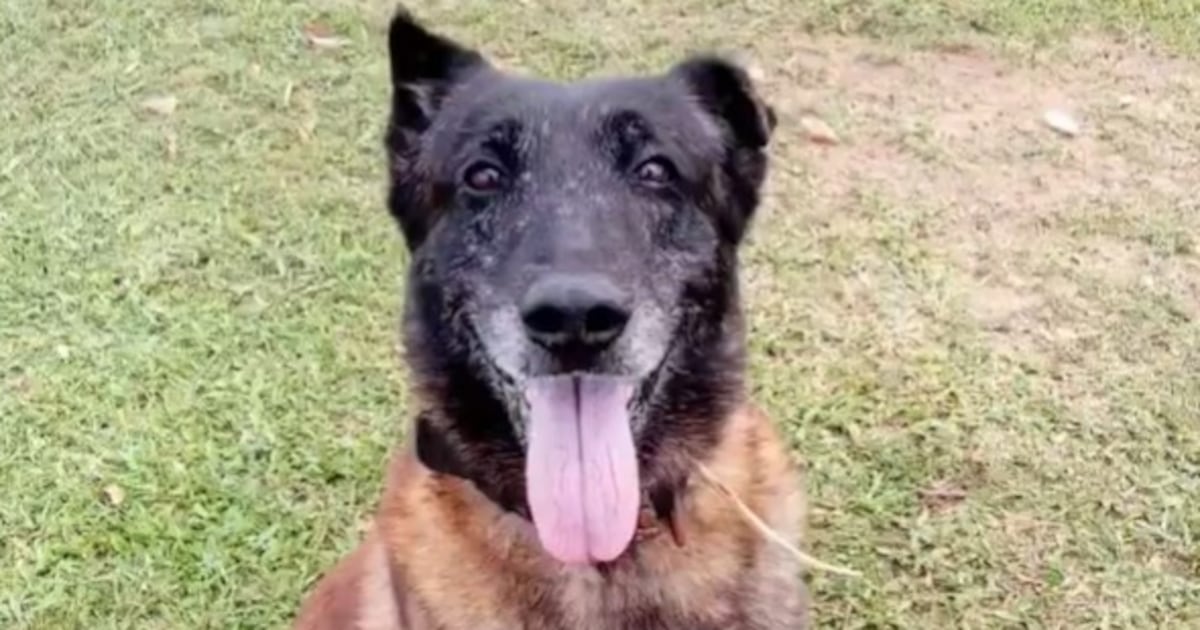 Las Fuerzas Armadas despidieron con honores militares a Bronco