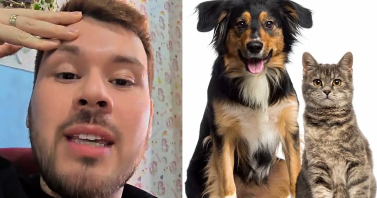 ¡Si sos pobre, no tengas perro ni gato! El consejo viral de un veterinario paraguayo