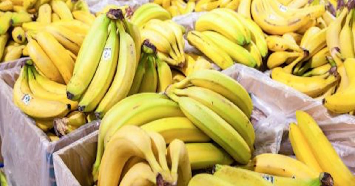 Variación del tipo de cambio impacta en la rentabilidad del sector bananero