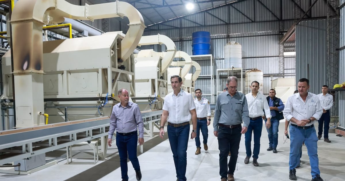 Planta procesadora de algodón impulsa el potencial agrícola e industrial del Chaco