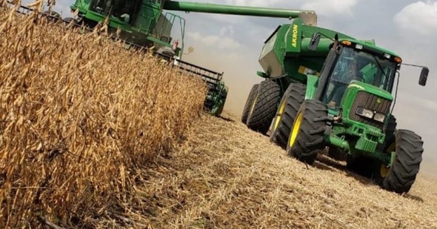 Soja zafriña, la segunda cosecha que testea los límites de la intensificación agrícola paraguaya